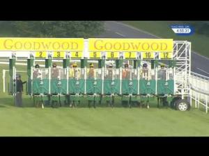 Video preview image for Goodwood 16:55 - Bibendum Stakes (Handicap)