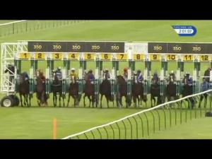 Video preview image for Newmarket 14:00 - John Banks Renault Cambridge EBF Stallions Maiden Stakes (Plus 10)