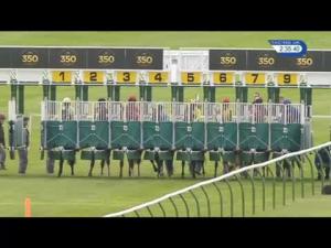 Video preview image for Newmarket 14:35 - Turftrax Nursery