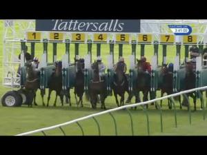 Video preview image for Newmarket 15:40 - Tattersalls Stakes (Registered As The Somerville Stakes) (Group 3)