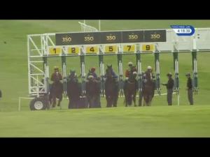 Video preview image for Newmarket 16:15 - Jockey Club Rose Bowl (Formerly The Fenwolf Stakes) (Listed)