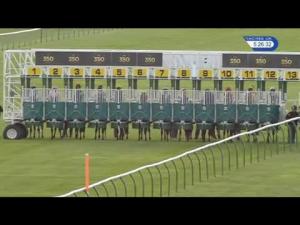 Video preview image for Newmarket 17:20 - Molson Coors Handicap