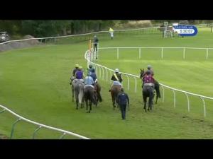 Video preview image for Perth 17:30 - 2016 Season Finale Standard Open NH Flat Race