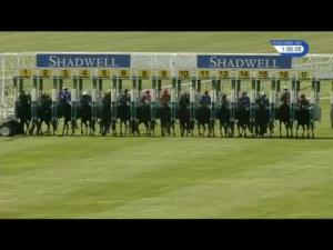 Video preview image for Newmarket 13:55 - Muhaarar Rosemary Stakes (Fillies' Listed)