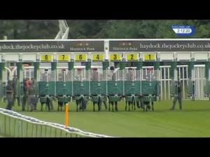 Video preview image for Haydock Park 14:10 - British Stallion Studs EBF Maiden Stakes (Plus 10)