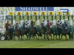 Video preview image for Newmarket 15:05 - Shadwell Rockfel Stakes (Fillies' Group 2)