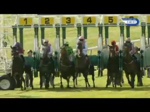 Video preview image for Newmarket 15:40 - Shadwell Joel Stakes (Group 2)