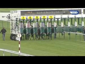 Video preview image for Haydock Park 16:30 - Jeremy Kyle Handicap