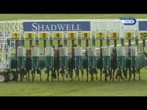 Video preview image for Newmarket 16:50 - Derrinstown EBF Stallions Maiden Stakes (Plus 10) (Div 2)