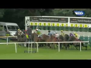 Video preview image for Haydock Park 17:05 - Griffiths and Armour Handicap