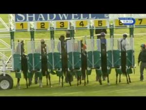 Video preview image for Newmarket 17:25 - Mukhadram Godolphin Stakes (Listed)