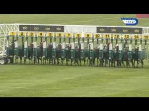 Video preview image for Newmarket 13:50 - newmarketracecourses.co.uk Maiden Fillies' Stakes (Plus 10)