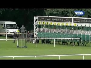 Video preview image for Haydock Park 15:20 - ebfstallions.com Maiden Stakes (Plus 10)