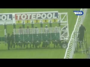 Video preview image for Hamilton Park 15:35 - Toteplacepot Nursery