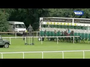 Video preview image for Haydock Park 15:55 - Erre Inox For Stainless Wire Handicap