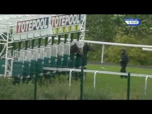 Video preview image for Hamilton Park 17:15 - Totepoolracing On Instagram/British Stallion Studs EBF Maiden Stakes