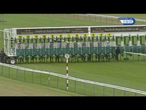 Video preview image for Haydock Park 17:40 - Beer Studio Handicap