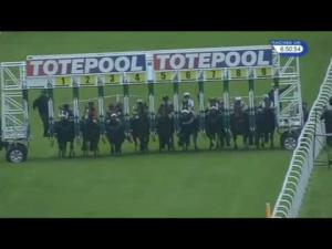 Video preview image for Hamilton Park 18:50 - Totepool Supporting Scottish Racing Handicap