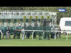 Video preview image for Musselburgh 14:30 - Breeders Supporting Racing EBF Maiden Stakes (Plus 10)