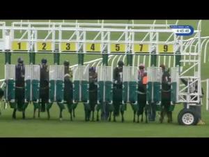 Video preview image for Musselburgh 16:45 - Robert Purvis Plant Hire Ltd Handicap