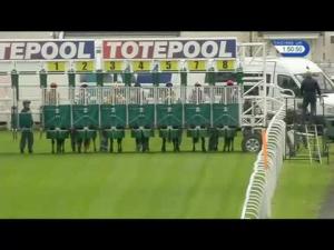Video preview image for Hamilton Park 13:50 - Toteplacepot/ British Stallion Studs EBF Maiden Stakes (Plus 10)