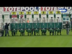 Video preview image for Hamilton Park 14:20 - Toteexacta Forecast The 1st and 2nd Handicap (Div 1)