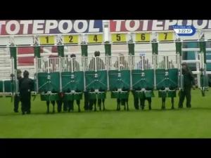 Video preview image for Hamilton Park 15:20 - Totequadpot Four Places In Four Races Classified Claiming Stakes