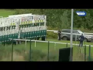 Video preview image for Hamilton Park 16:20 - Totetrifecta Pick The 1,2,3 Handicap