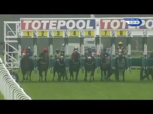 Video preview image for Hamilton Park 17:25 - Totepoolracing Find Us On Instagram Handicap