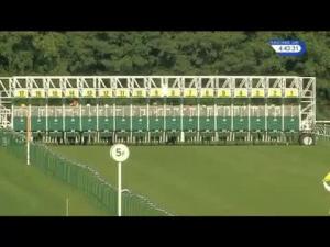 Video preview image for Nottingham 16:40 - Kfe 20th Anniversary Celebration Handicap (Jockey Club Grassroots Sprint Series Final)