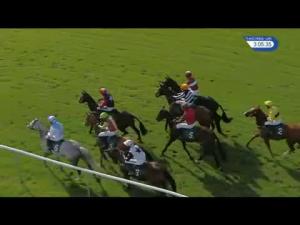 Video preview image for Warwick 15:05 - Lodders Solicitors Handicap Chase