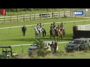 Video preview image for Warwick 16:10 - Colliers International Rating Division Handicap Chase