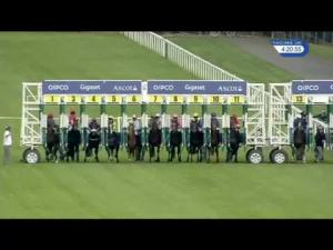 Video preview image for Ascot 16:20 - Troy Asset Management Handicap