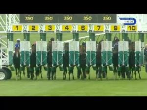 Video preview image for Newmarket 13:45 - Nkt Financial Solutions Ltd EBF Stallions Maiden Stakes (Plus 10)