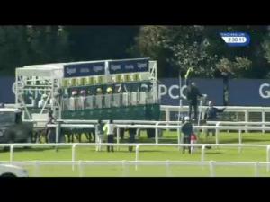 Video preview image for Ascot 14:30 - Gigaset Cumberland Lodge Stakes (Group 3)