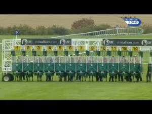 Video preview image for Newmarket 14:50 - British Stallions Supporting EBF Breeders' Fillies' Series Mile Handicap