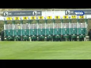 Video preview image for Newmarket 15:25 - British Stallions EBF Breeders' Fillies' Series Middle Distance Handicap