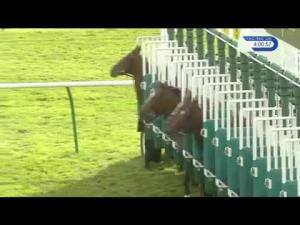 Video preview image for Newmarket 16:00 - Kingdom Of Bahrain Sun Chariot Stakes (British Champions Series) (Fillies' Group 1)