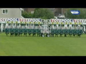 Video preview image for Redcar 16:25 - Pinnacle Cup Straight-Mile Series Final Handicap