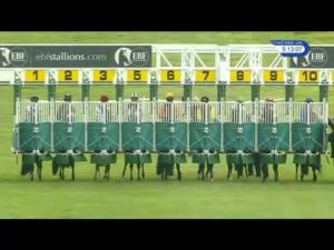 Video preview image for Newmarket 17:10 - EBF Breeders' Fillies' Series 2016 Thisfillycan Handicap