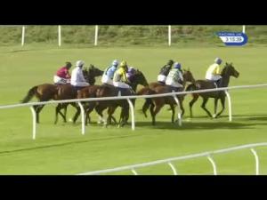 Video preview image for Huntingdon 15:15 - Pallets Wanted At Brian Martin Pallets Juvenile Hurdle