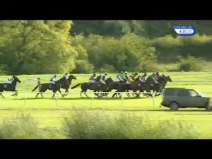 Video preview image for Huntingdon 16:20 - Brian Martin Pallets Wood Chipping Handicap Hurdle