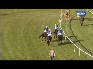 Video preview image for Ludlow 15:40 - Charles & Sue Olink Memorial Mares' Handicap Hurdle
