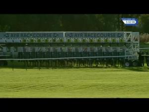 Video preview image for Ayr 17:00 - Strathmore Handicap (Div 1)