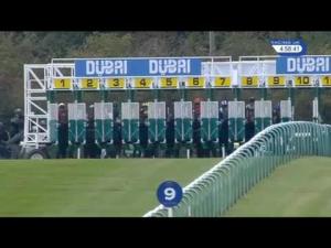 Video preview image for Newmarket 16:50 - Dubai Business Internships Pride Stakes (Fillies' Listed) (Formerly The Severals Stakes)