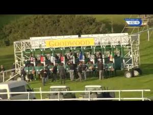Video preview image for Goodwood 16:50 - Goodwood Racehorse Owners Group Stakes (Handicap)