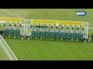 Video preview image for Goodwood 17:20 - Series Finale Stakes (Handicap)