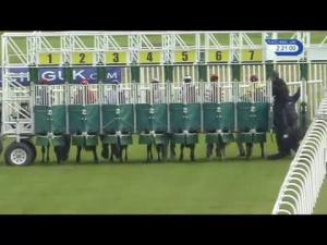 Video preview image for Musselburgh 14:20 - Best Odds Guaranteed All Races At MacBet Maiden Stakes
