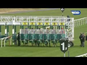 Video preview image for Musselburgh 14:50 - eastlothian.org Handicap