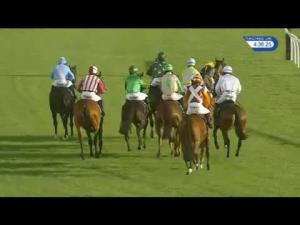 Video preview image for Huntingdon 16:35 - Sdc Completes The Handicap Hurdle